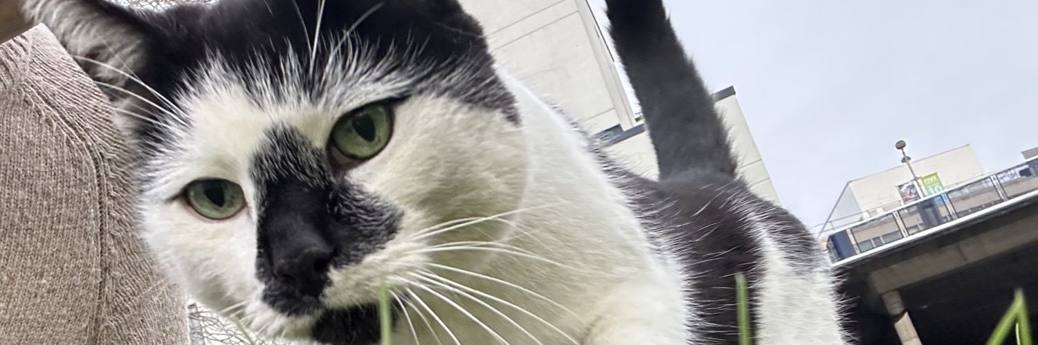 Nathaniel Schermerhorn banner