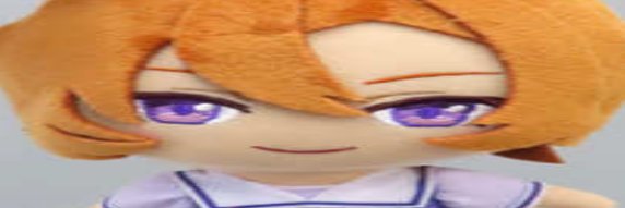 Skippé's banner