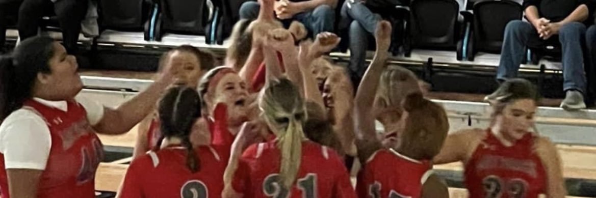 Belfry Lady Pirates banner