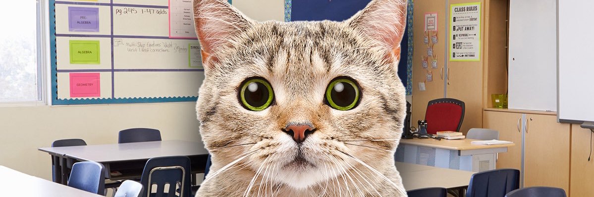 Patton ✦ banner