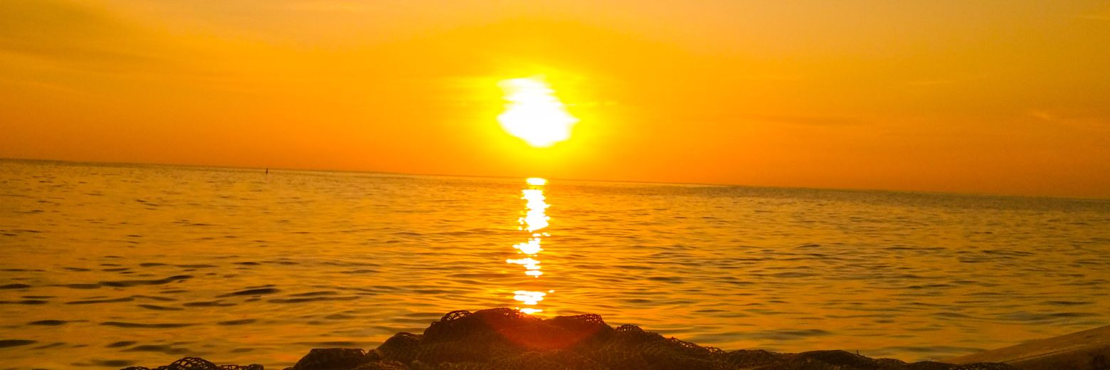 Dedi Suhendra banner