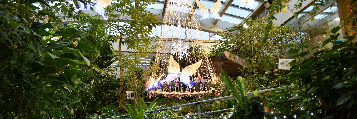 石川県ふれあい昆虫館's banner