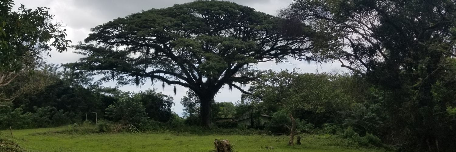 carobiomar's profile banner image