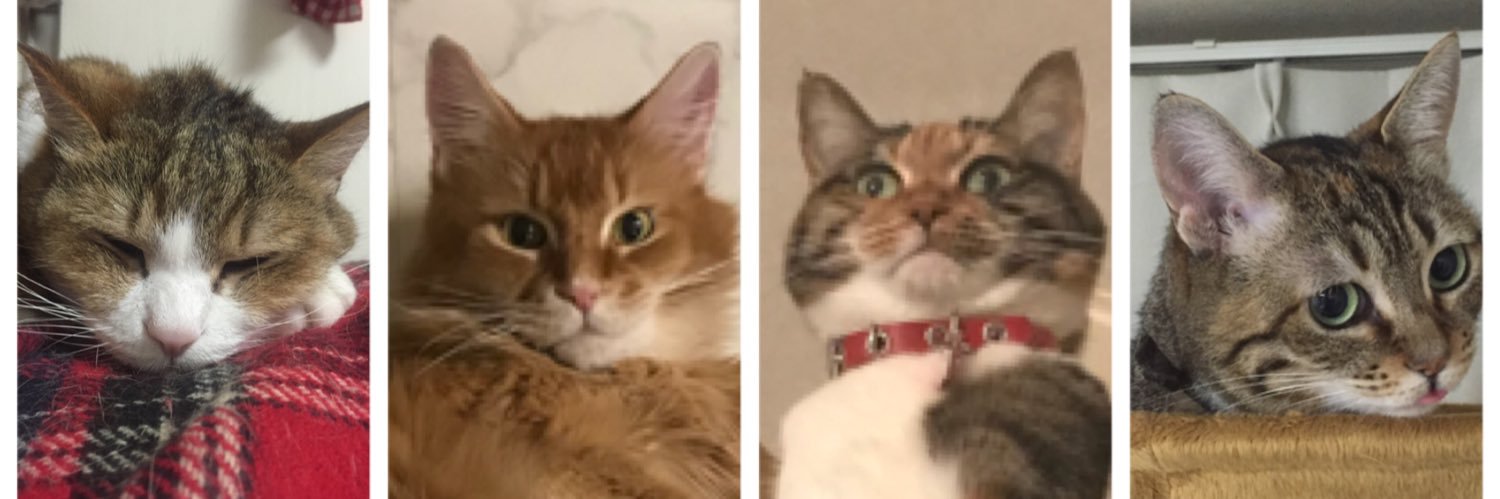 wappychang's profile banner image