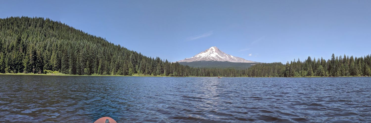 robi 😼🧶 banner