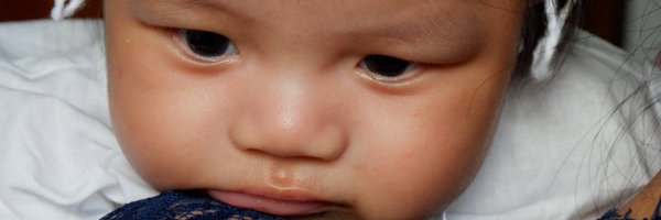 AdiGecko Profile Banner