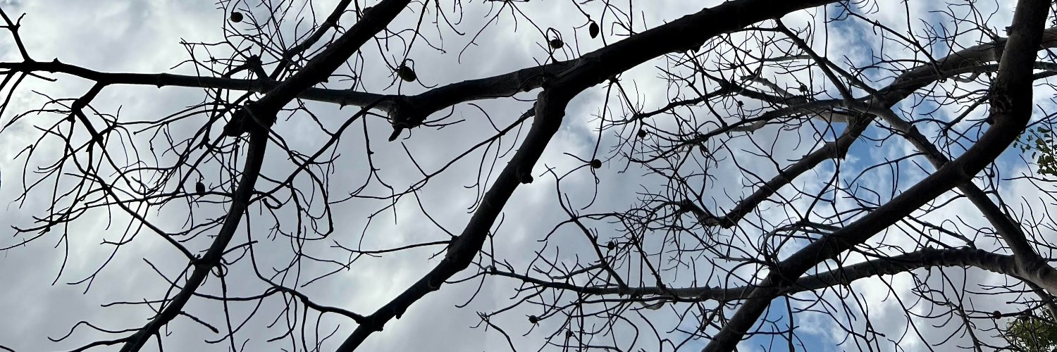 jacwex's profile banner image