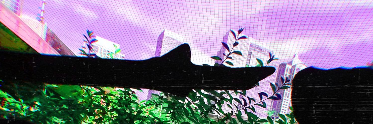 Squiddo banner