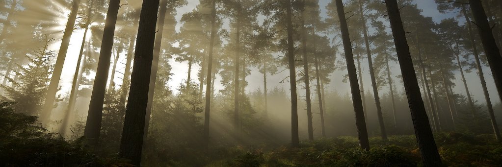 Marcin_PL_84's profile banner image