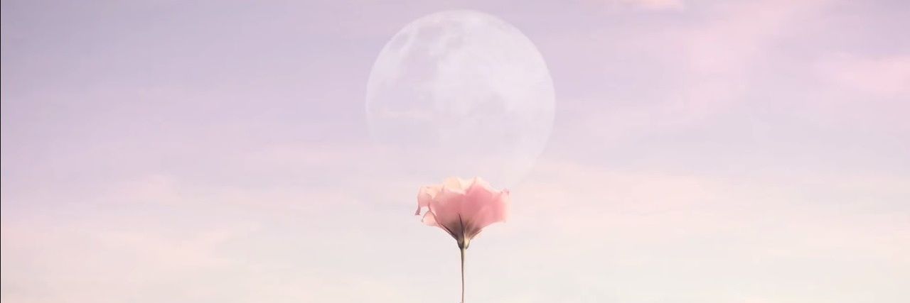 Lym_0203's profile banner image