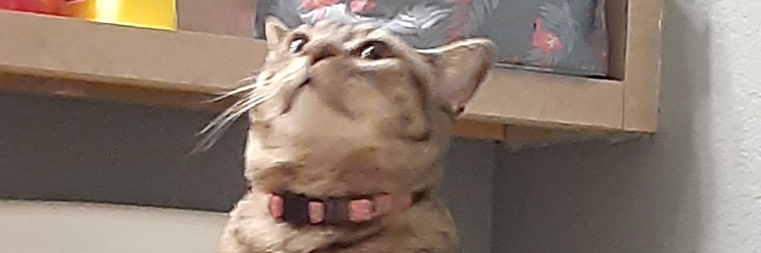 GoldWingyt's profile banner image