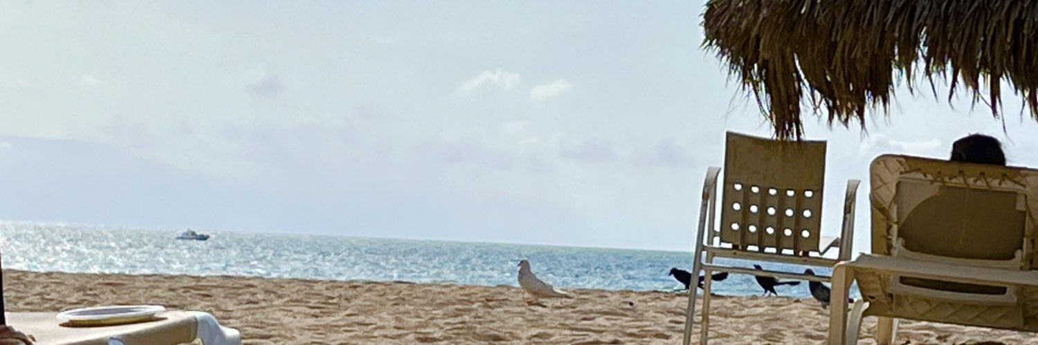 Mary0fe's profile banner image