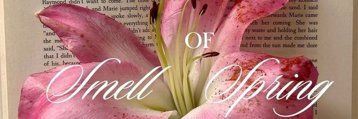 felice ⤷ jasa edit video & apps prem, wa only. banner