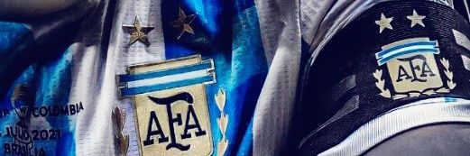 Ovidio banner