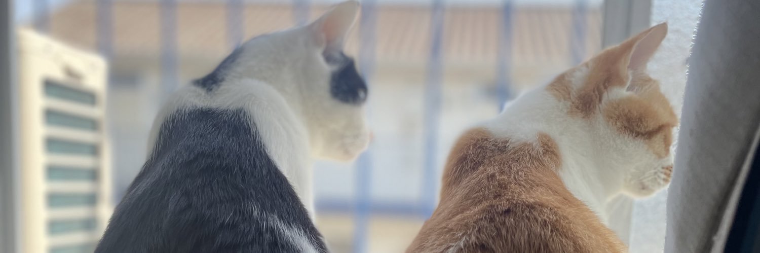 Mee_eeG's profile banner image