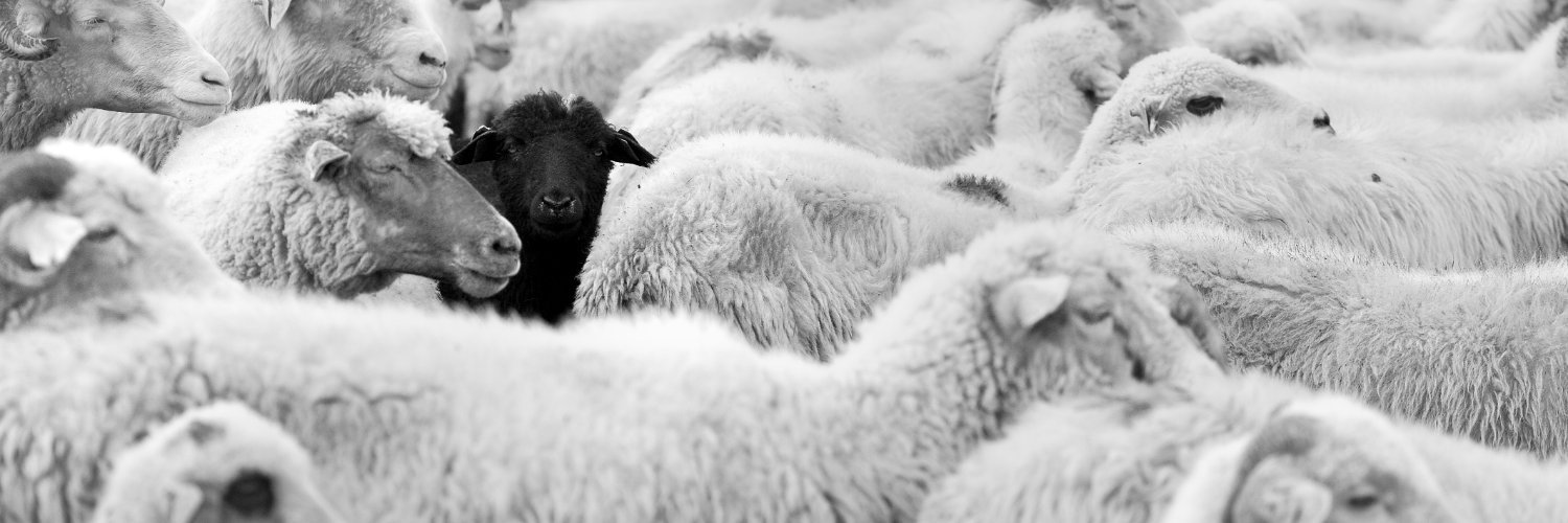 John Blacksheep banner