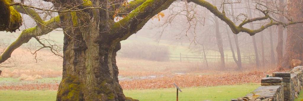 bedkatonahpatch's profile banner image