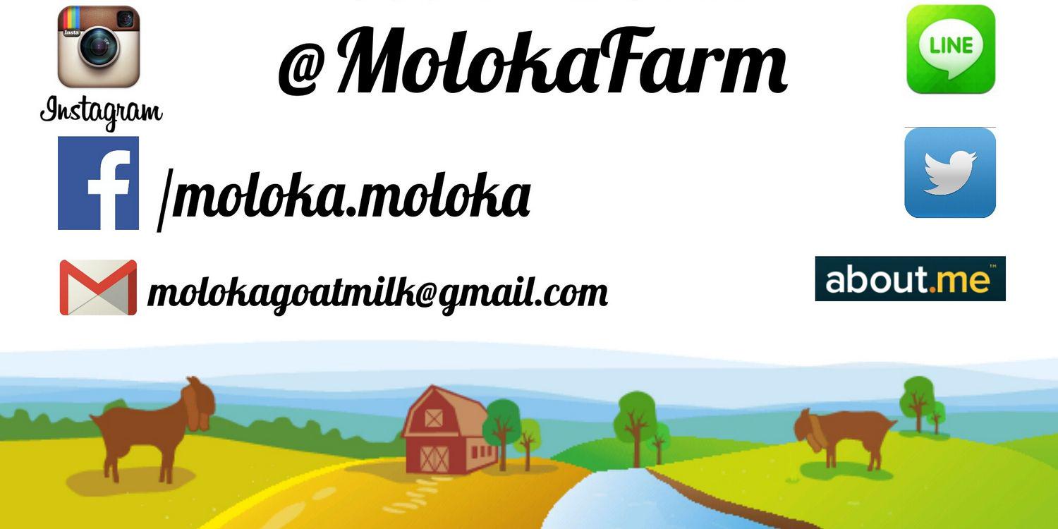 MolokaFarm's profile banner image