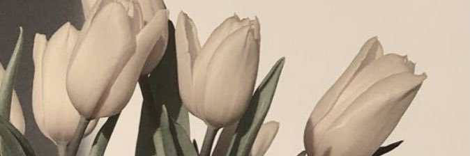 julitorres__'s profile banner image