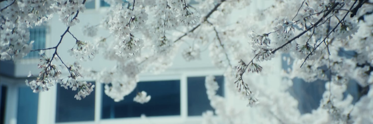 woonagiines's profile banner image