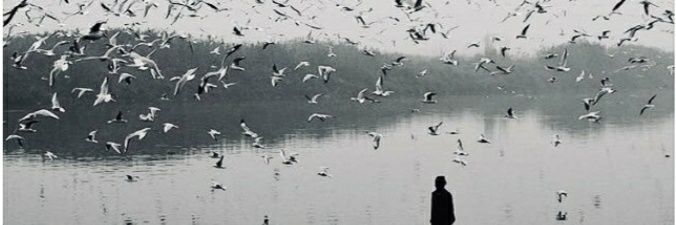 KSL_POLAT's profile banner image