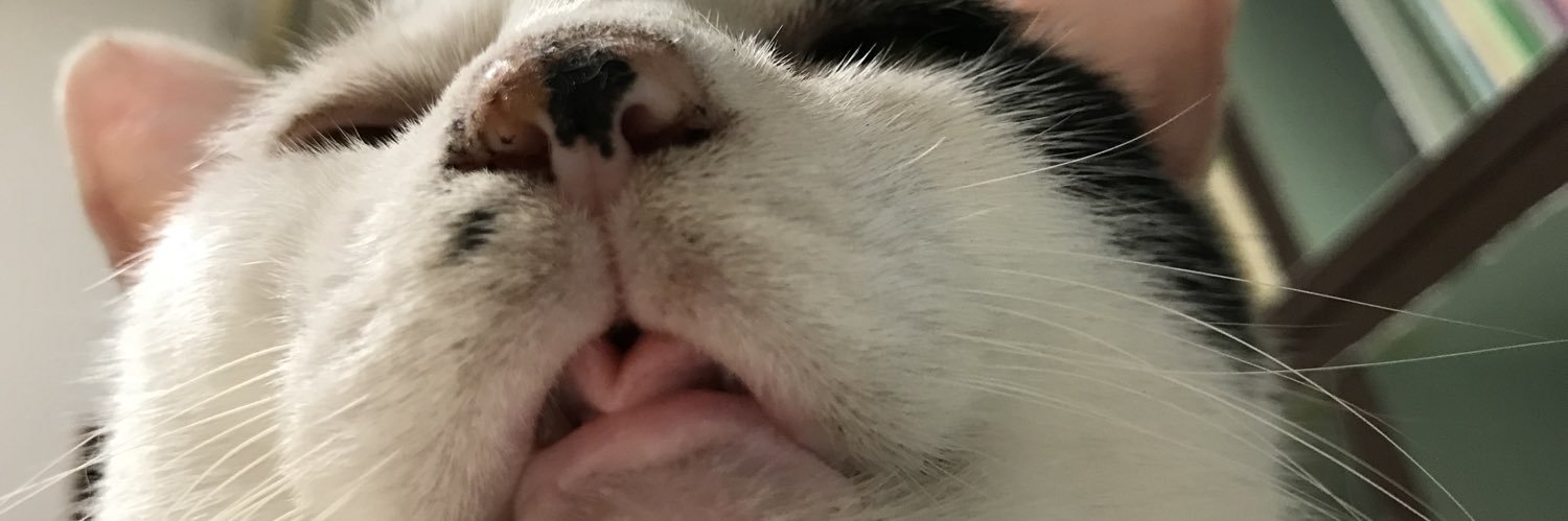 mfmfonk's profile banner image