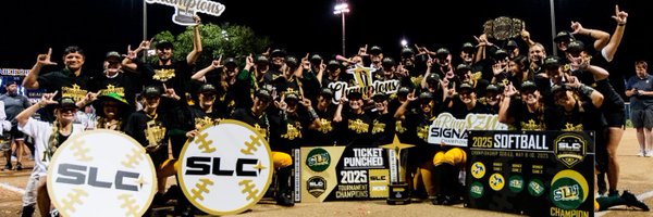 LionUpSoftball Profile Banner