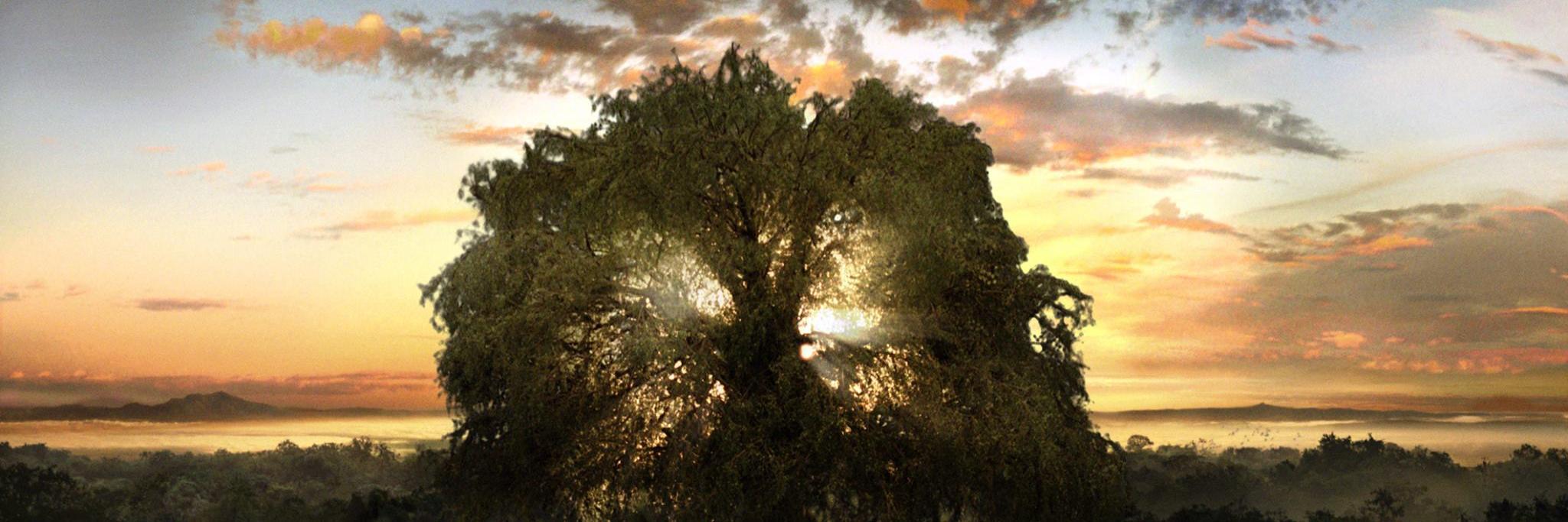 KennyHunting's profile banner image