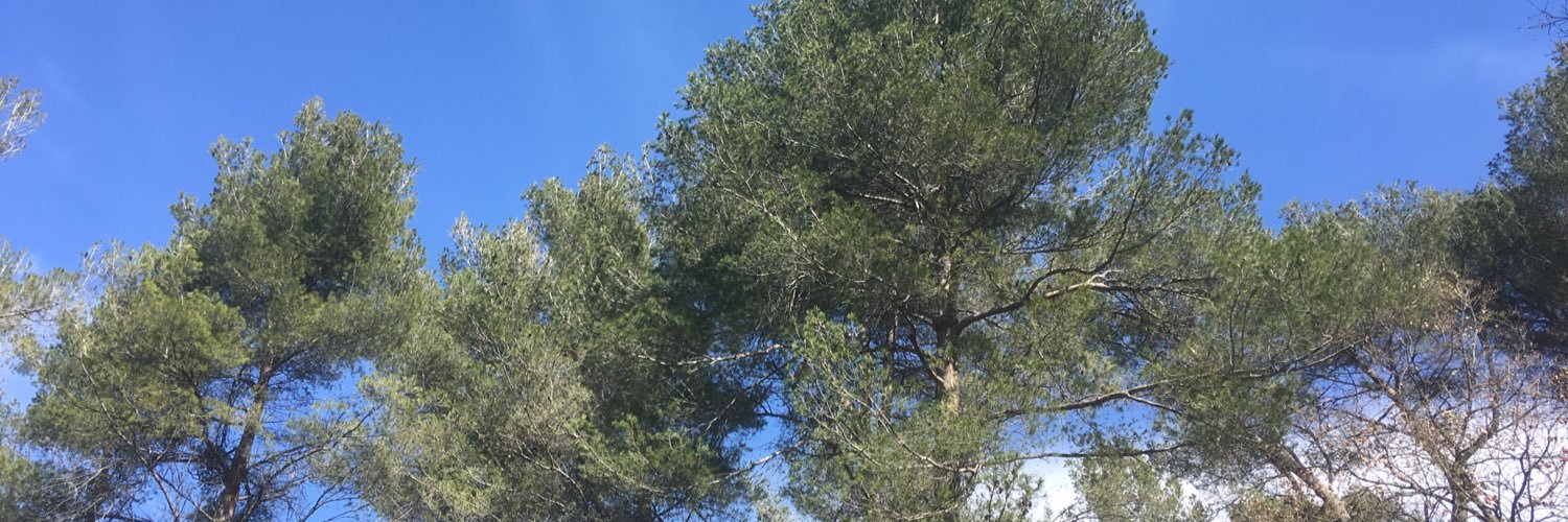 Maffieu's profile banner image