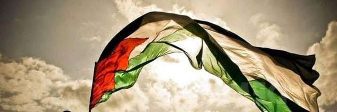 iNessrineN 🇵🇸🔻's banner