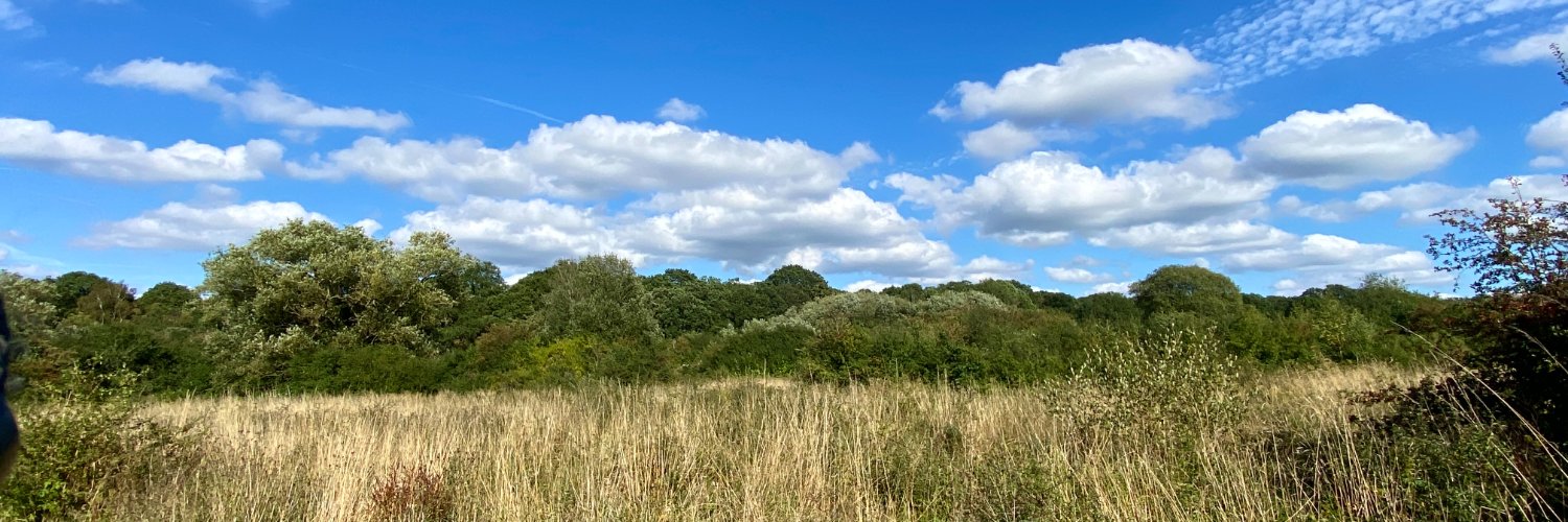 Surrey Climate Commission banner
