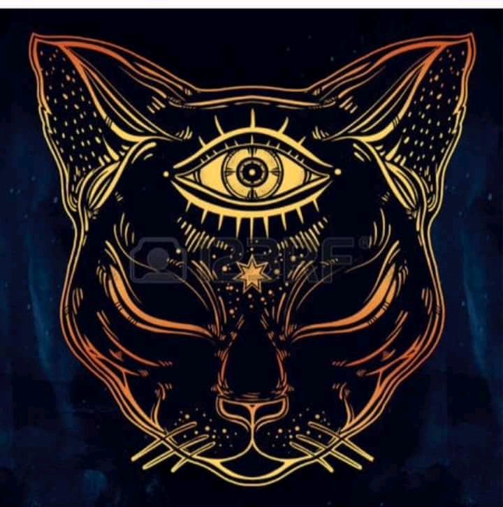 StarPoint5's profile banner image