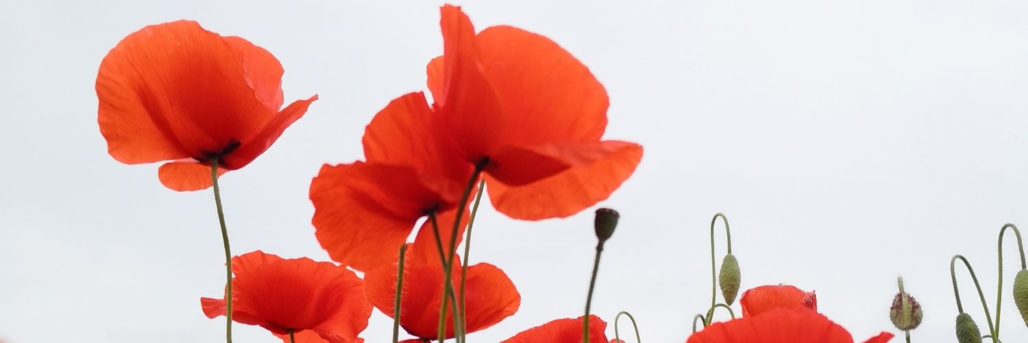 fra_boatto's profile banner image