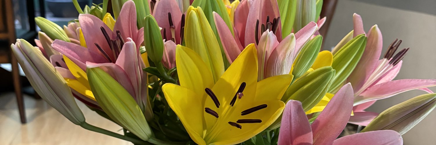 Alberto Esteva +🤚 banner