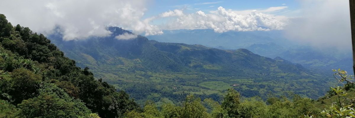 sandytorguis's profile banner image