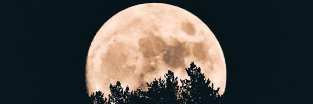 satishh26's profile banner image