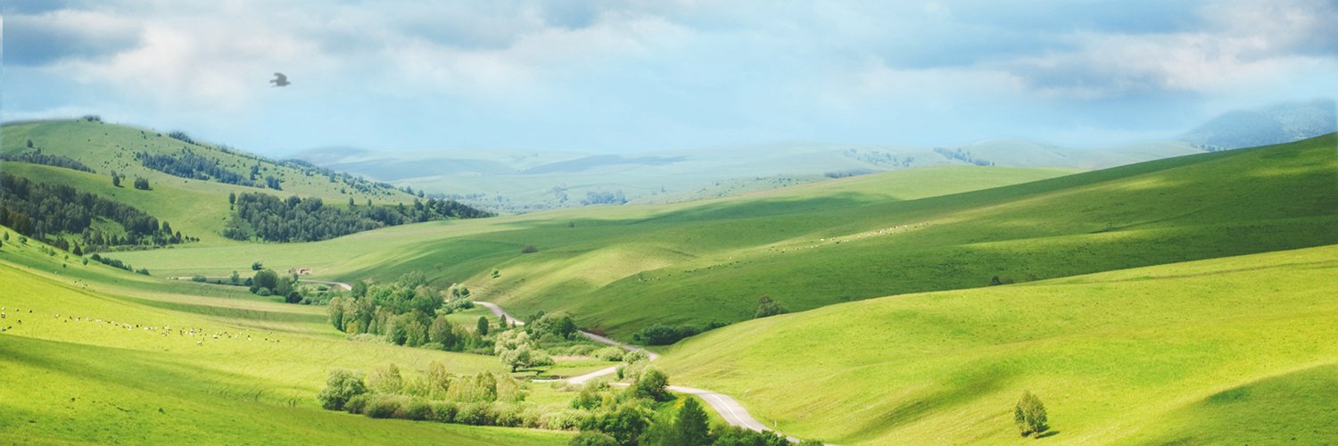 HautSegala's profile banner image