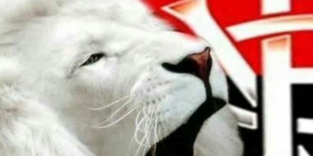sequela123's profile banner image