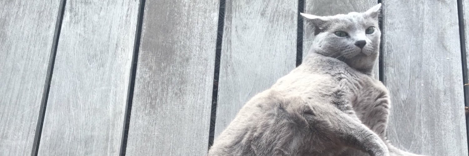 wyidaki's profile banner image
