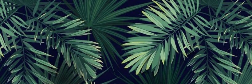 ＲＯＴＩ🍞 banner