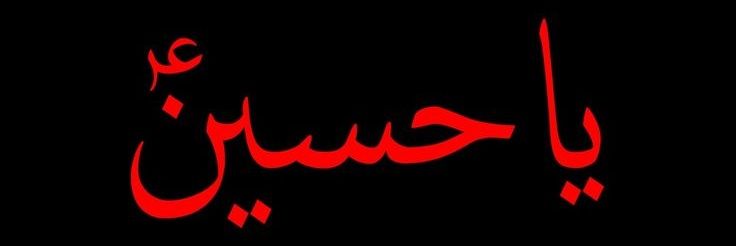 Syeda Fatima🌸 banner