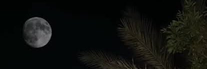 نوره الدوسري banner