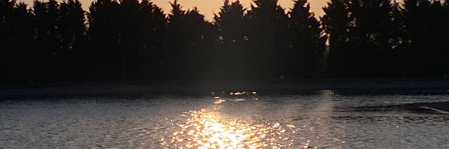 dildareey's profile banner image