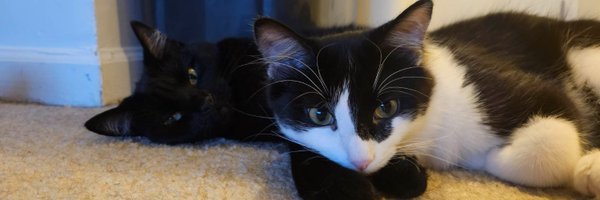 mike_reitemeier Profile Banner