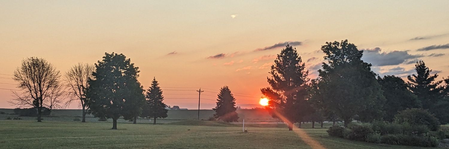 TracyAFreese's profile banner image
