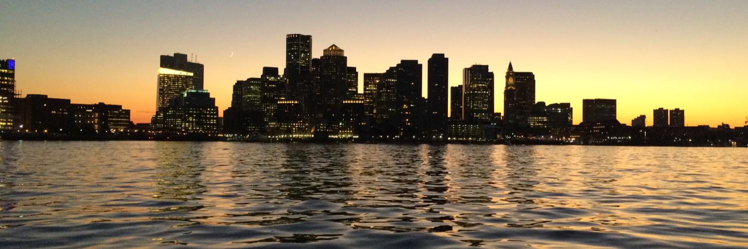 theNewEnglander banner