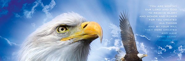 americanstarboy's profile banner image