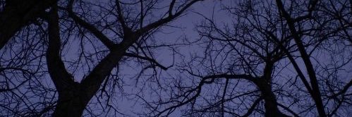 𝖒𝖎𝖑𝔂 🪽's banner