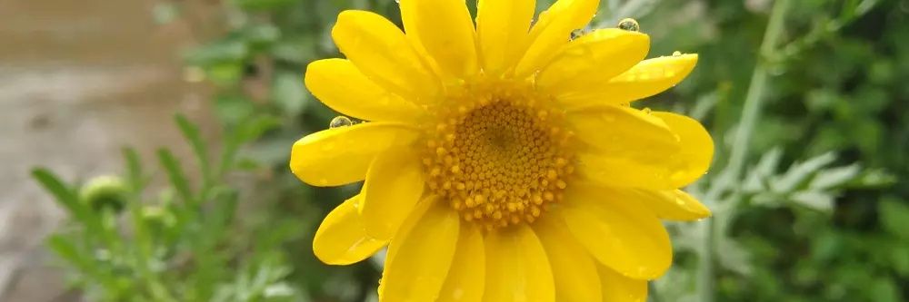 AdargunchiM's profile banner image