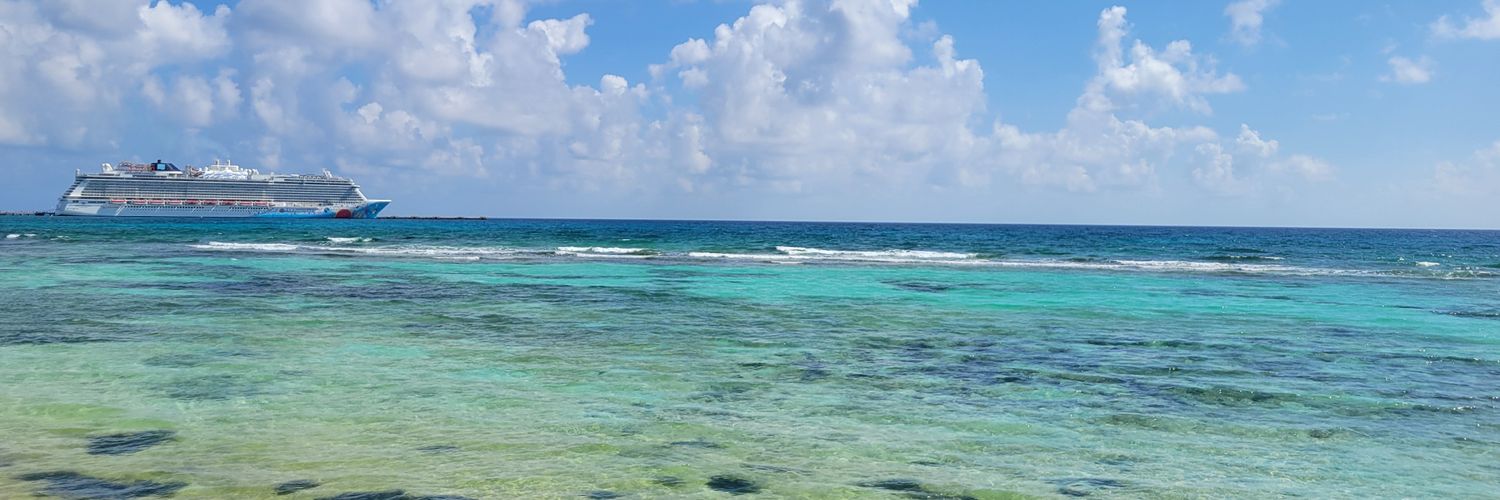 Jen (Perry) Weigel banner